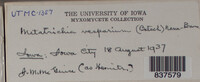 Image Associated With the Occurence